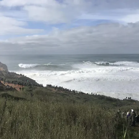 Sea View - Dream Appartement