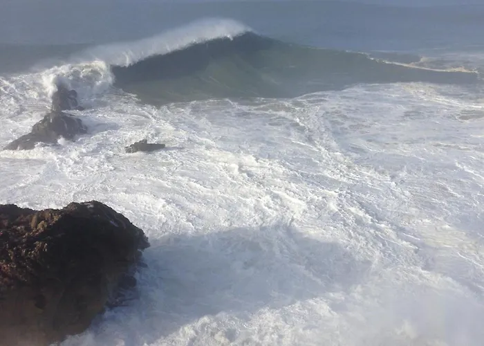 Lejlighed Sea View - Dream Nazaré